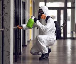 Professional Mold Removal Services in Sun Village, CA